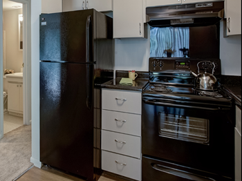 Electric stove